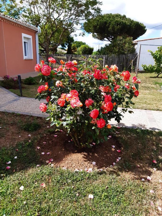 Appartement Independant A 10Min Des Plages Au Calme Proche O'Gliss Et O'Funparken Campagne La Jonchere Bagian luar foto